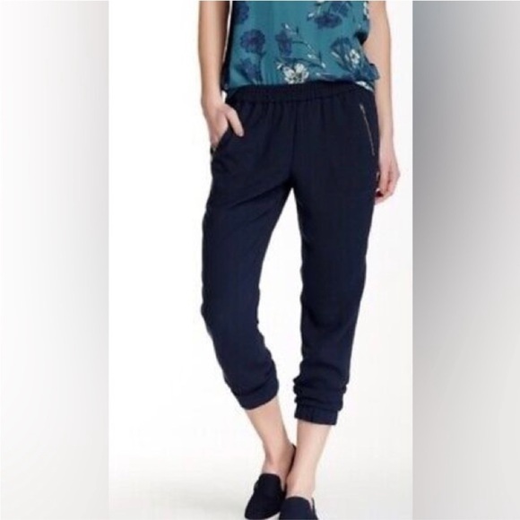 J. Crew Sydney Navy Blue Joggers size 2 - Picture 13 of 13